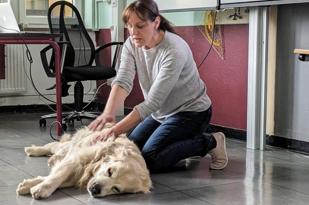 Hundemassage – Wellnessabend für Vierbeiner